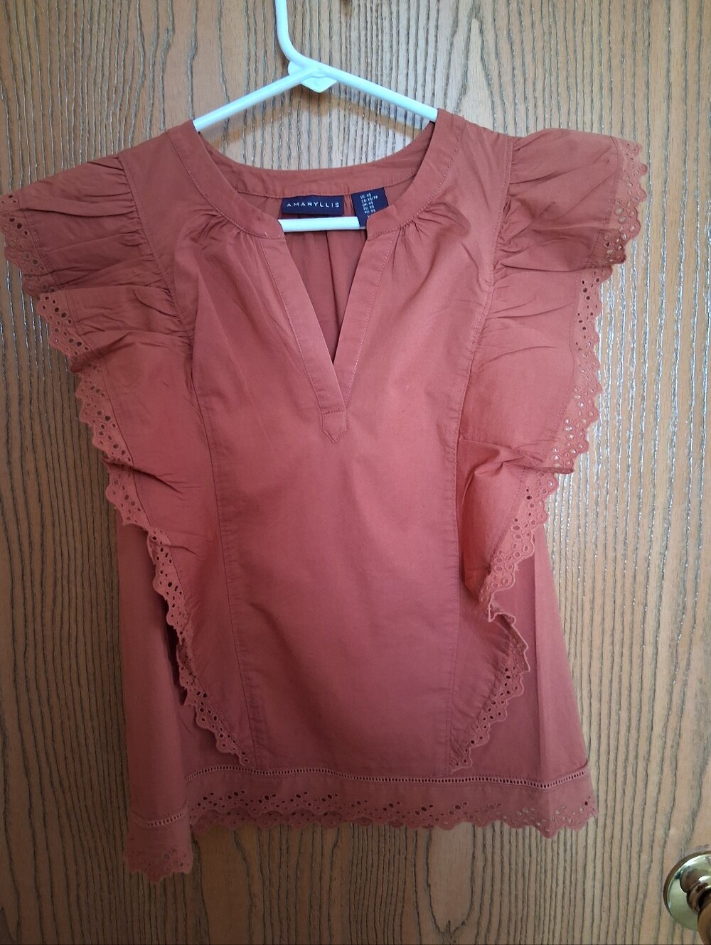 Amaryllis Rust Ruffled Eyelet Trim V-Notch Blouse